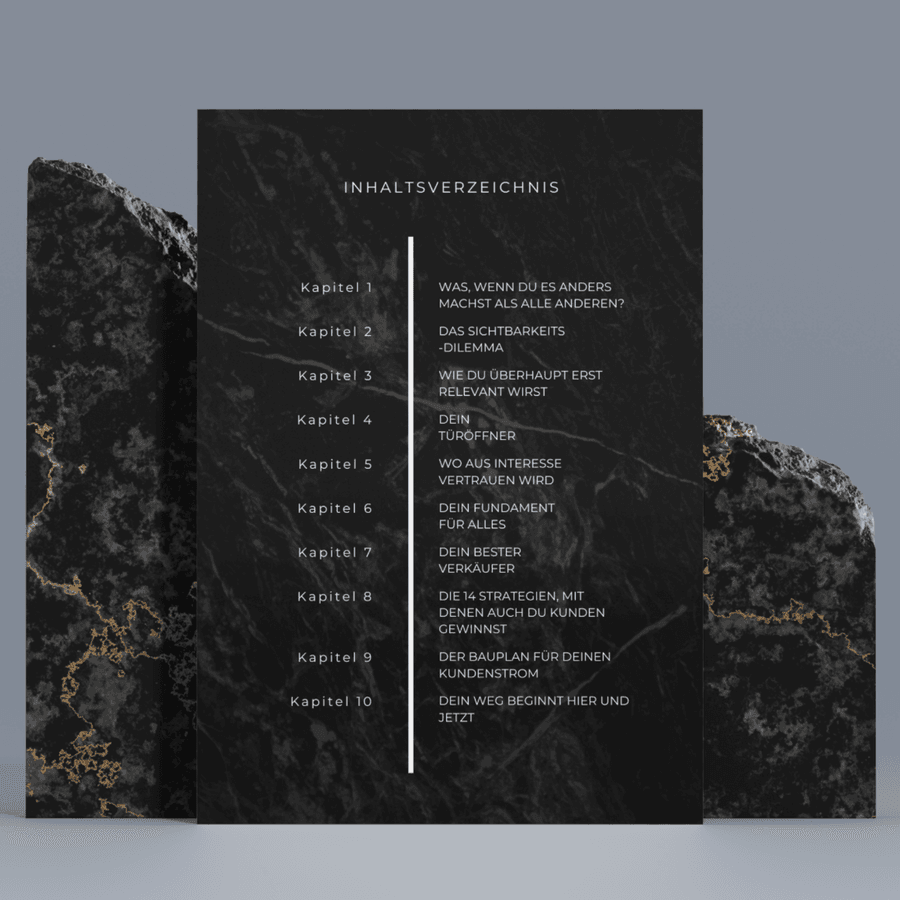 Leseprobe: Inhaltsverzeichnis